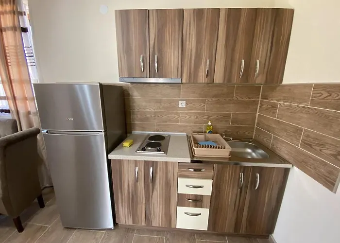 Zlatko 소코 반자