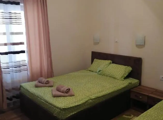 Zlatko * 소코 반자