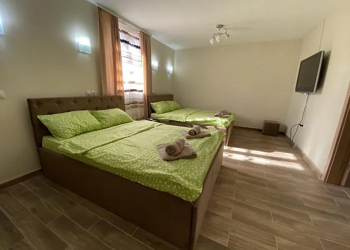 Zlatko 소코 반자